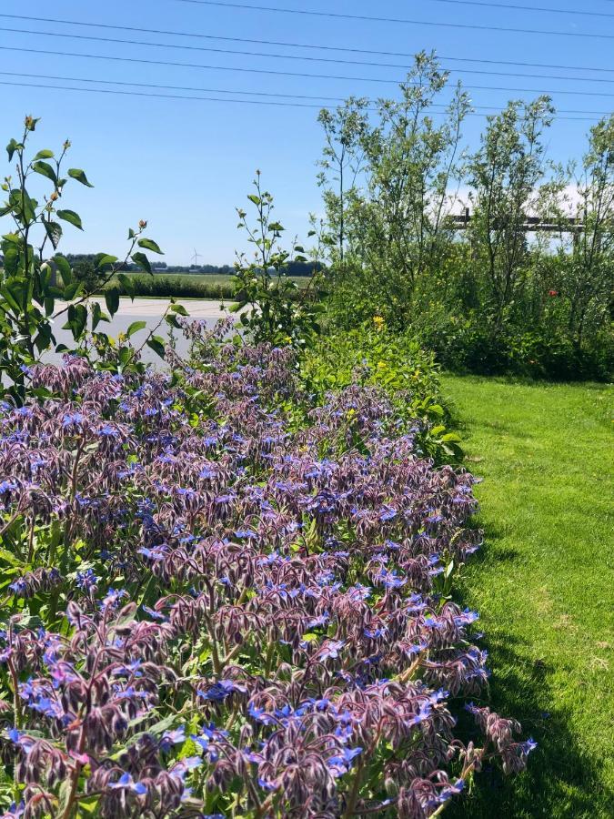 Loft In De Polder Apartman Grootschermer Kültér fotó